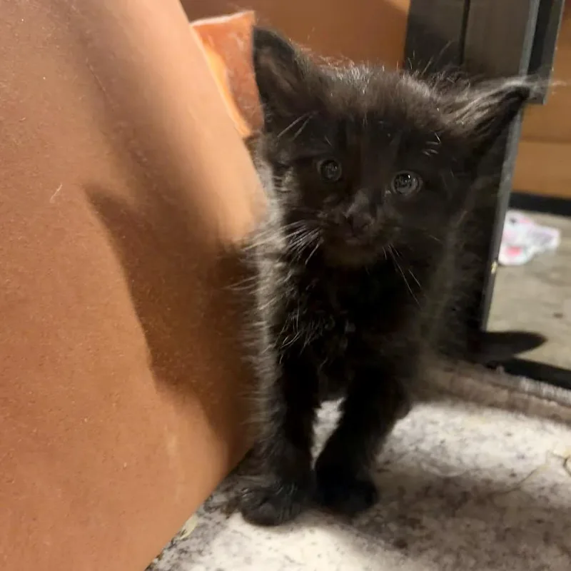 Bruce