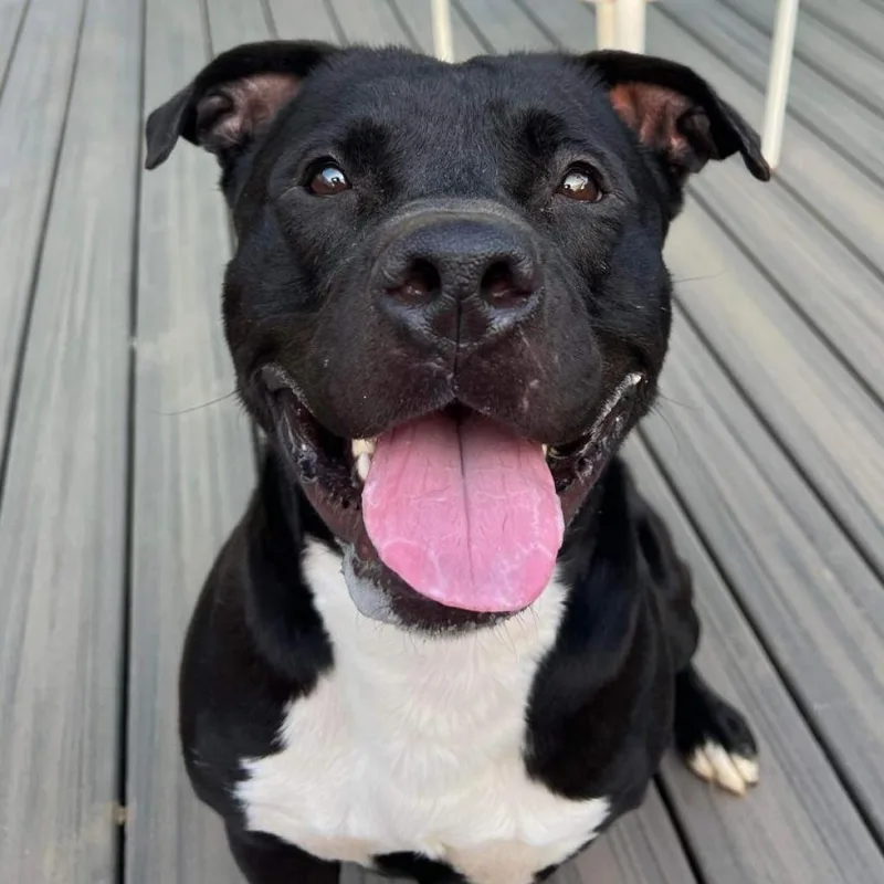 Sam Drucker thumbnail 2