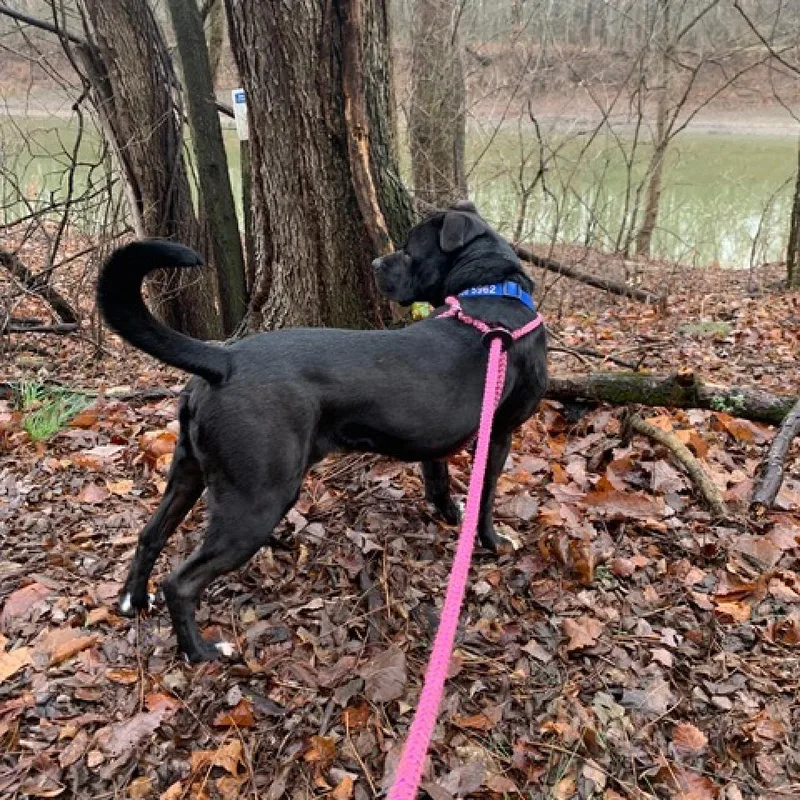 Sam Drucker thumbnail 3