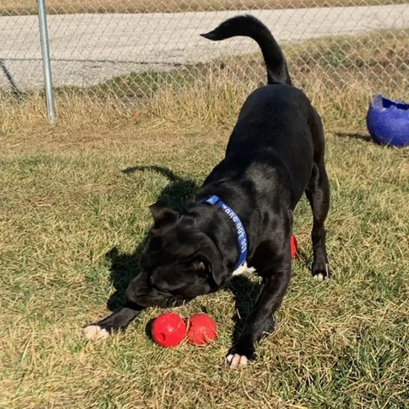 Sam Drucker thumbnail 4