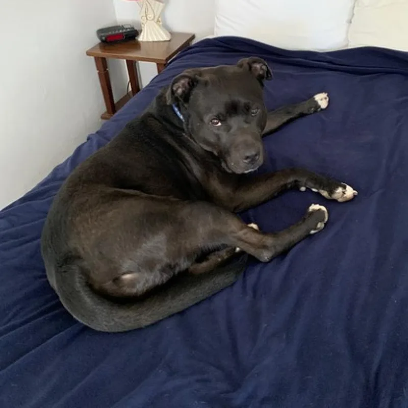 Sam Drucker thumbnail 5