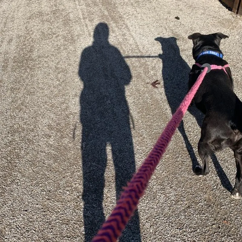 Sam Drucker thumbnail 6