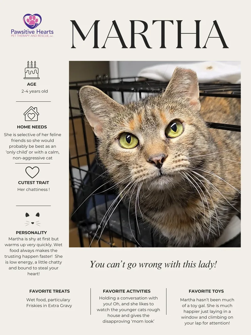 An adult medium-sized female Tabby (Buff / Tan / Fawn) Domestic Short Hair cat named Martha for adoption in Kenhorst, PA