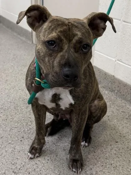 Mama
