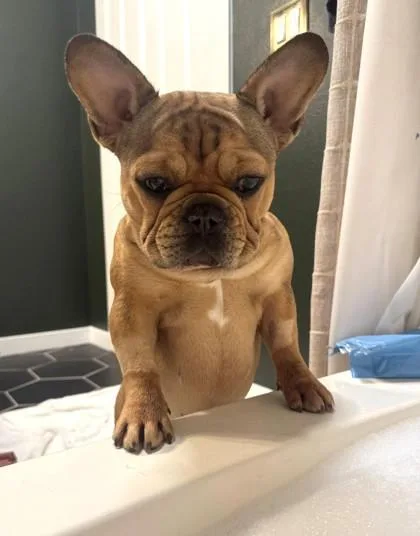 Sweet Tater thumbnail 2