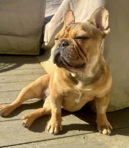 Sweet Tater thumbnail 3