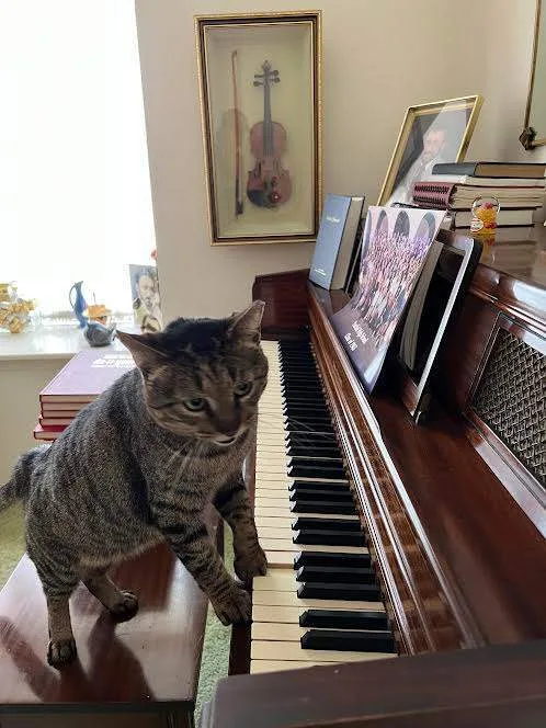 Joey Clovermeadow thumbnail 2