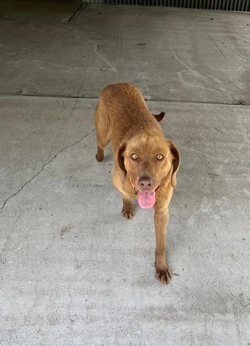 Ellie Mae