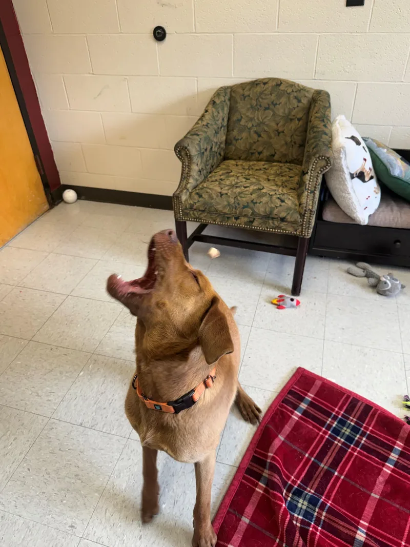Ellie Mae thumbnail 2