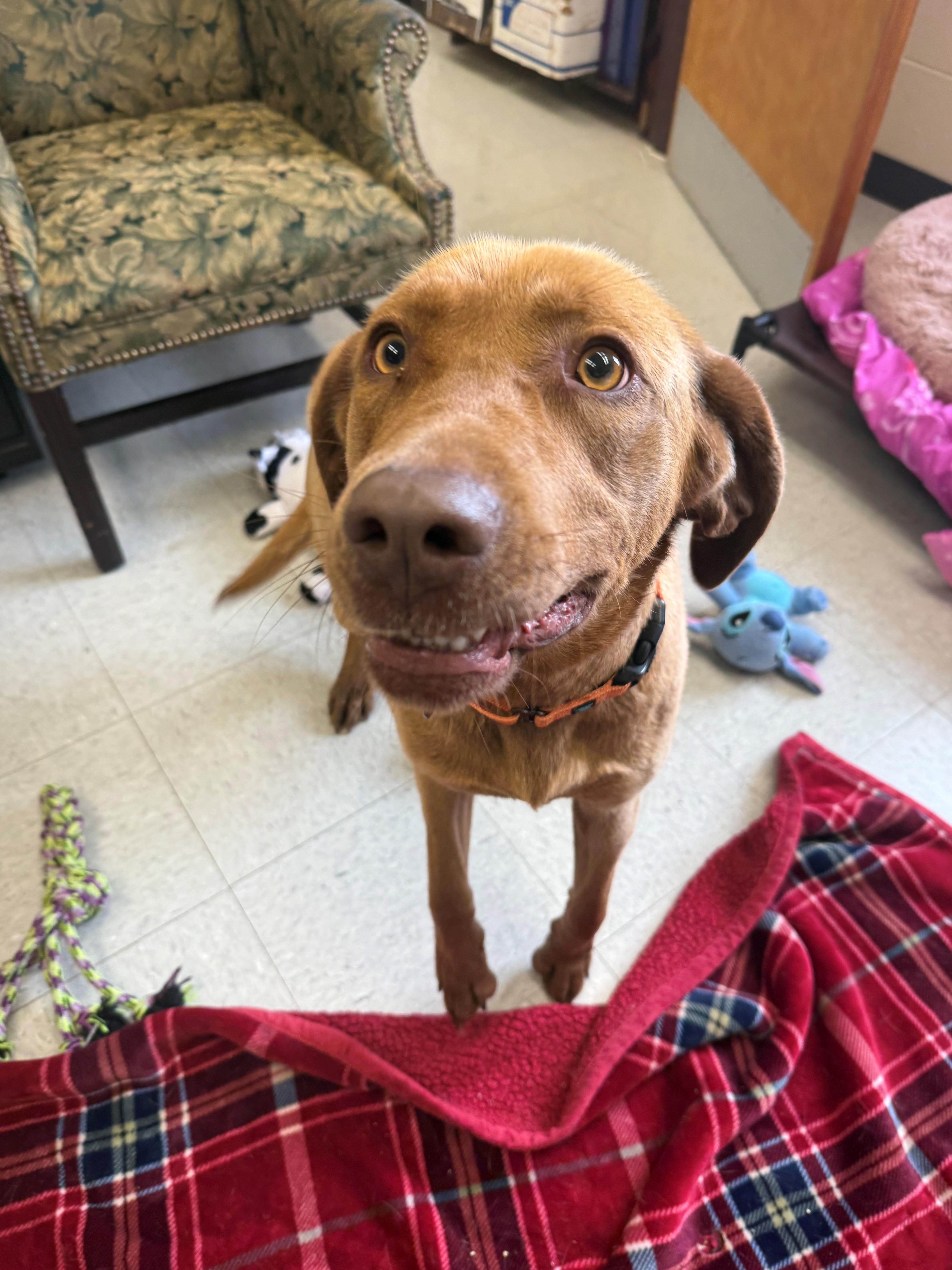 Ellie Mae thumbnail 3