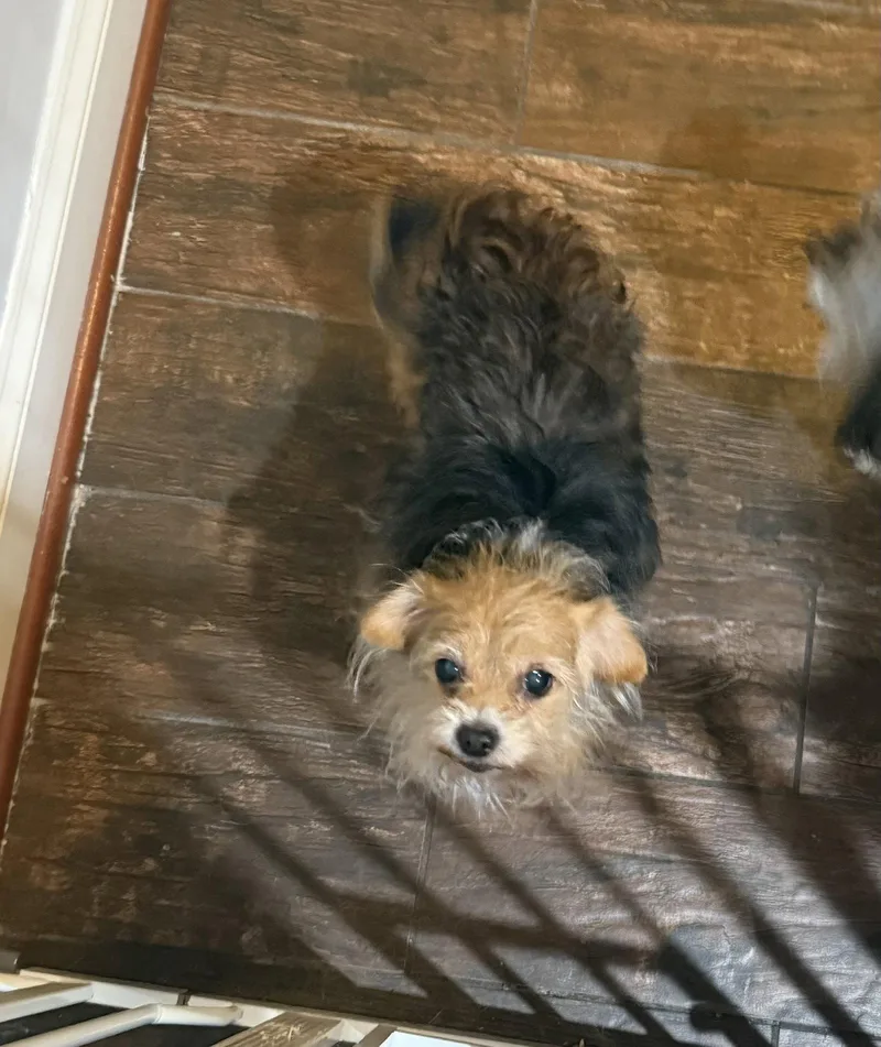 Sallybonded