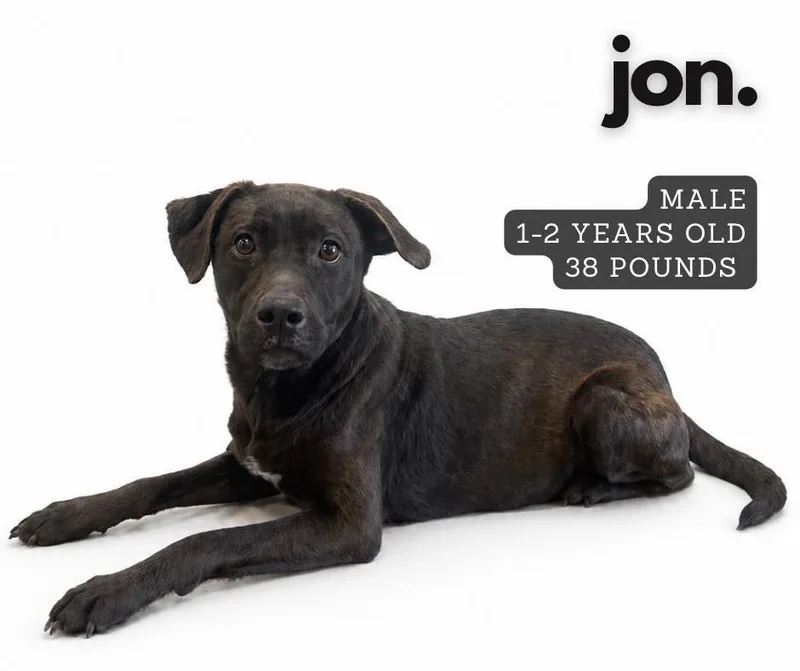 Jon