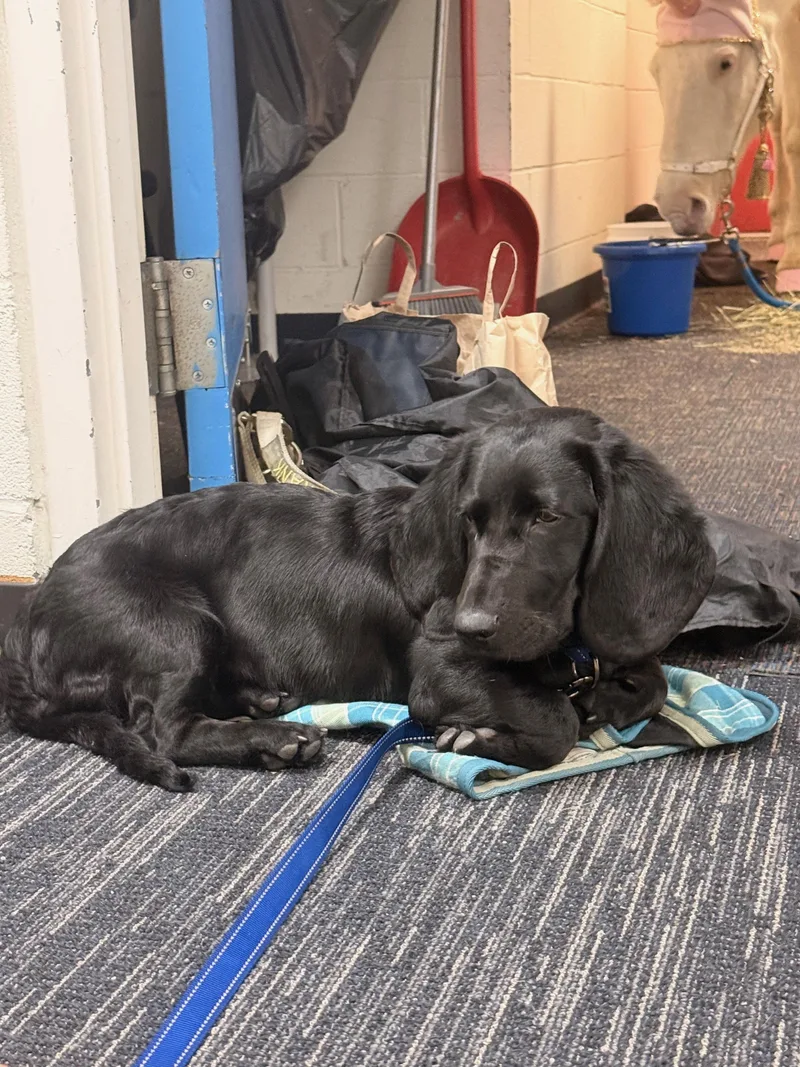 Maverick thumbnail 5