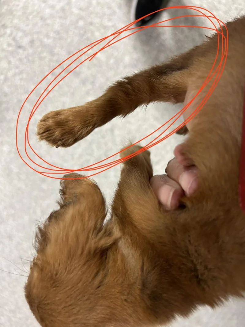 Peggy.  lbs and thumbnail 3