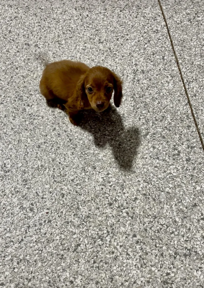 Peggy.  lbs and thumbnail 4