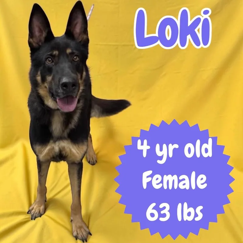 Loki thumbnail 2