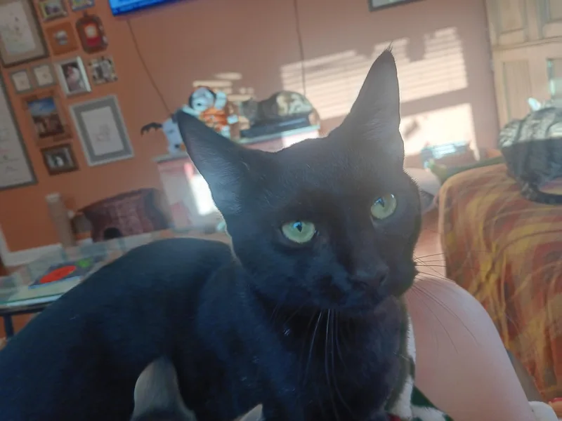 Craig N' Dayday thumbnail 2