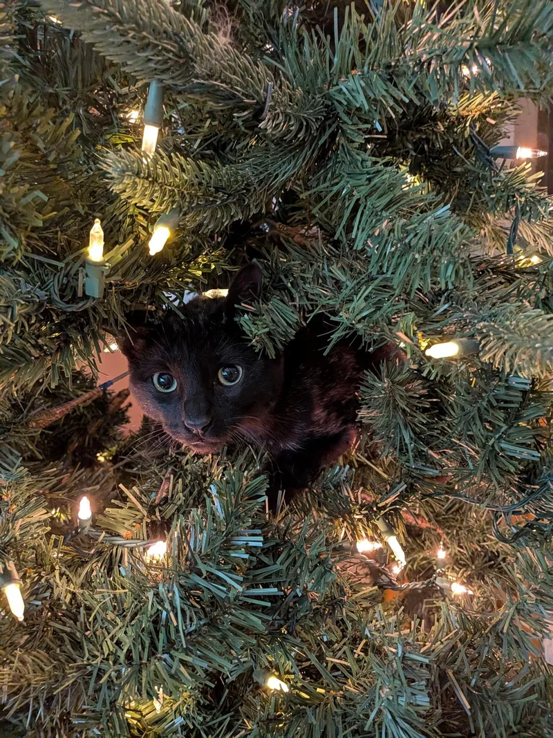 Craig N' Dayday thumbnail 3