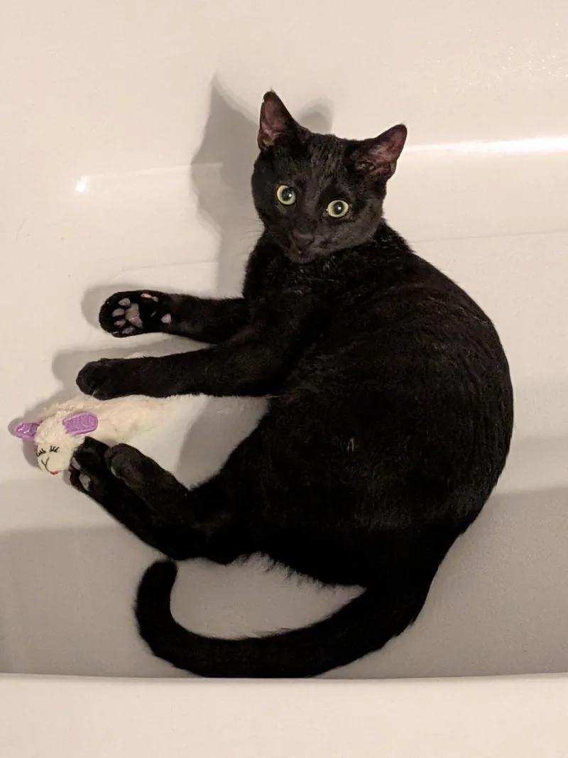 Craig N' Dayday thumbnail 4