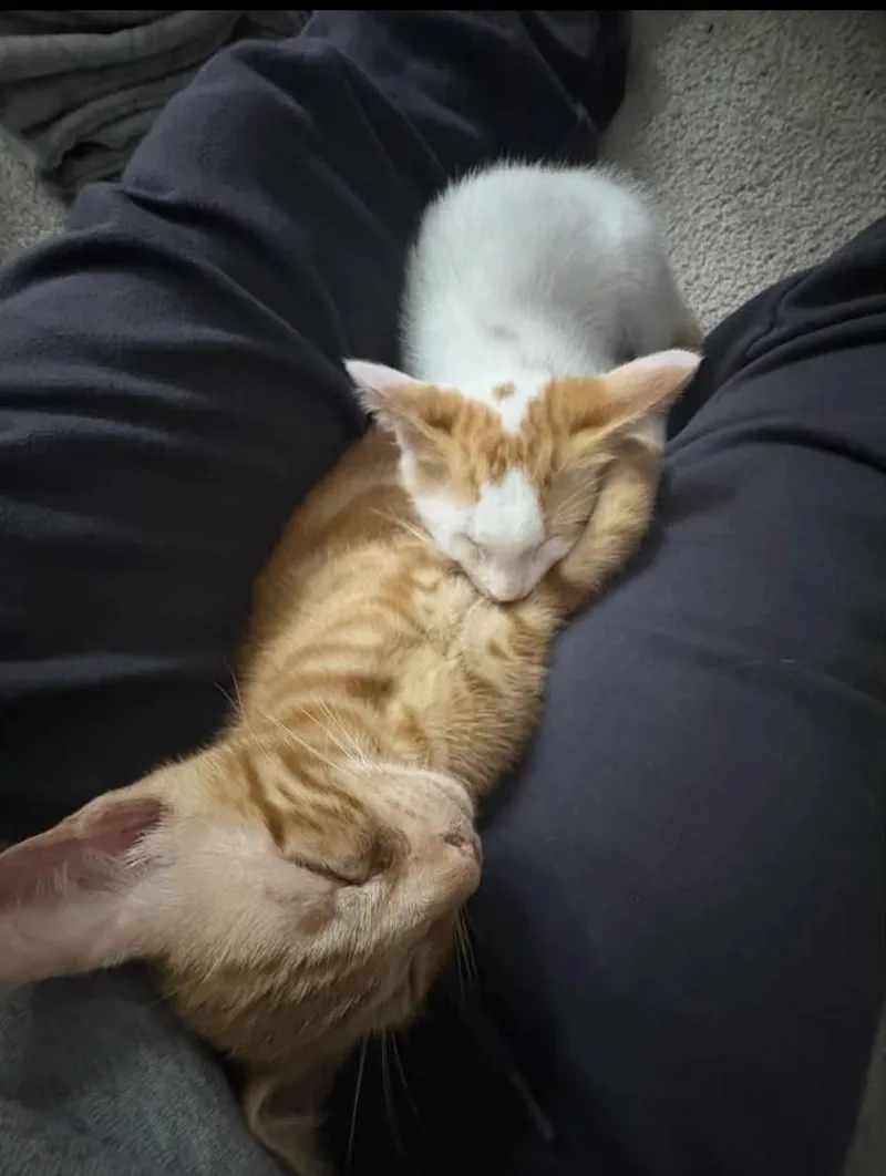 Butch & Sundance thumbnail 3