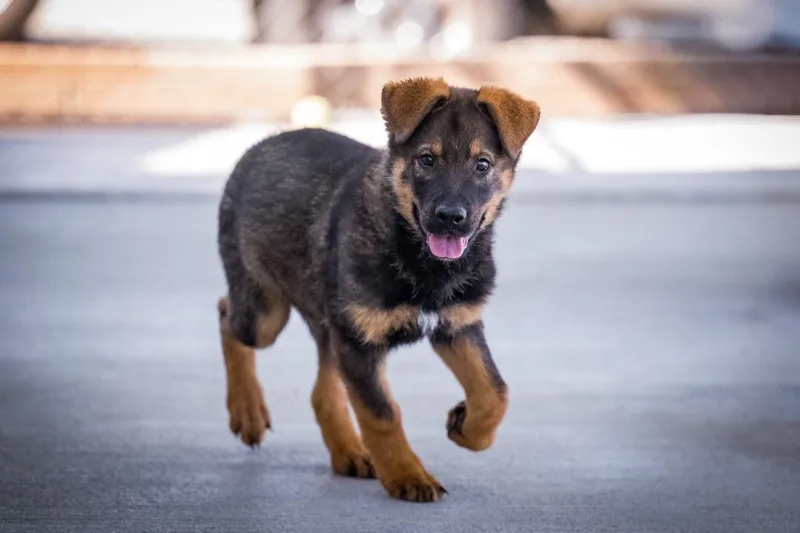 O'malley thumbnail 2