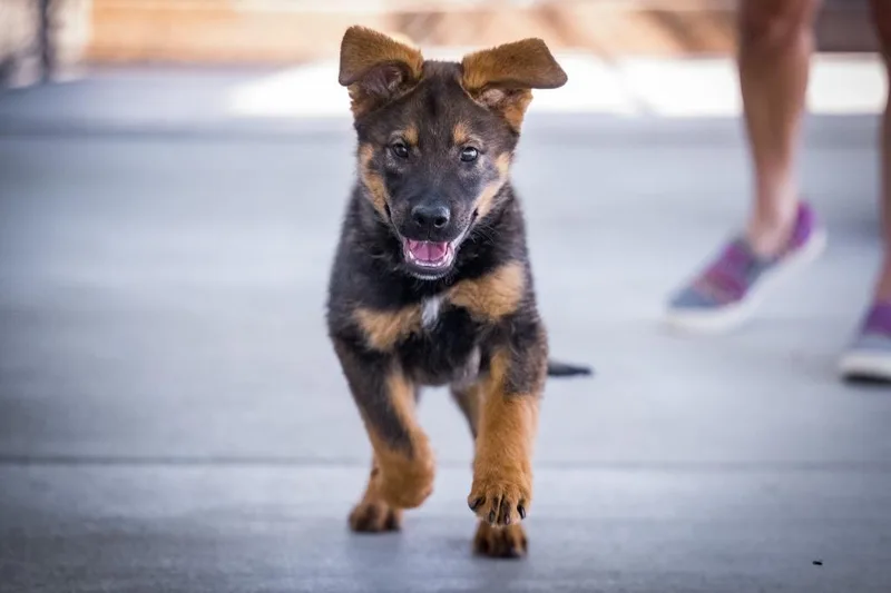 O'malley thumbnail 3