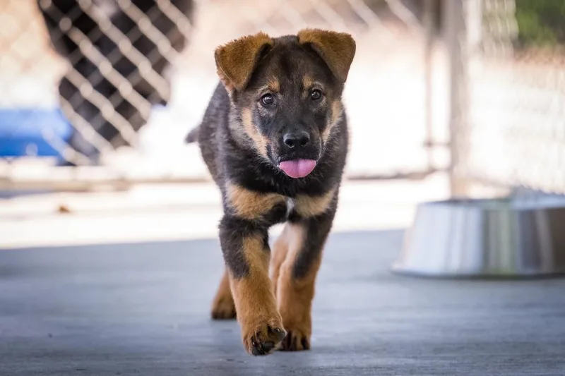 O'malley thumbnail 4