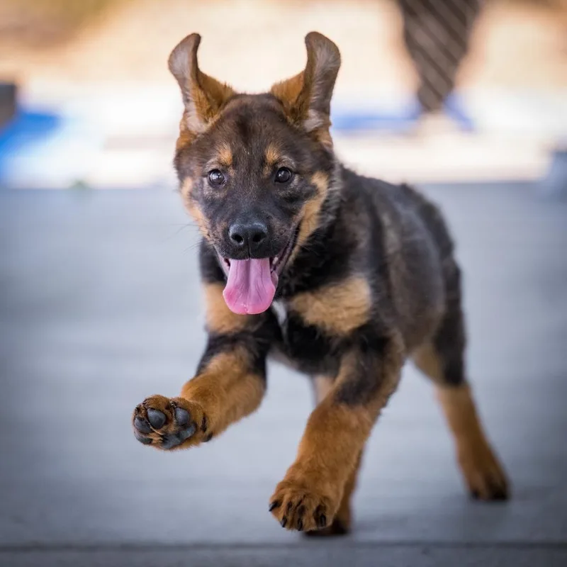 O'malley thumbnail 5