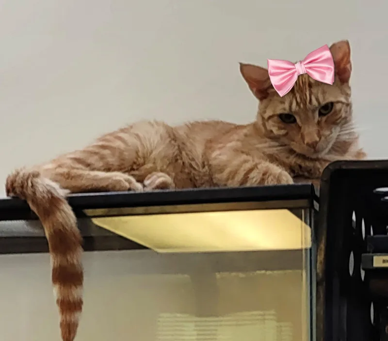 Mattie & Aries thumbnail 2