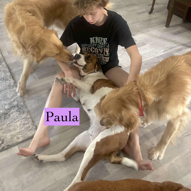 Paula thumbnail 2