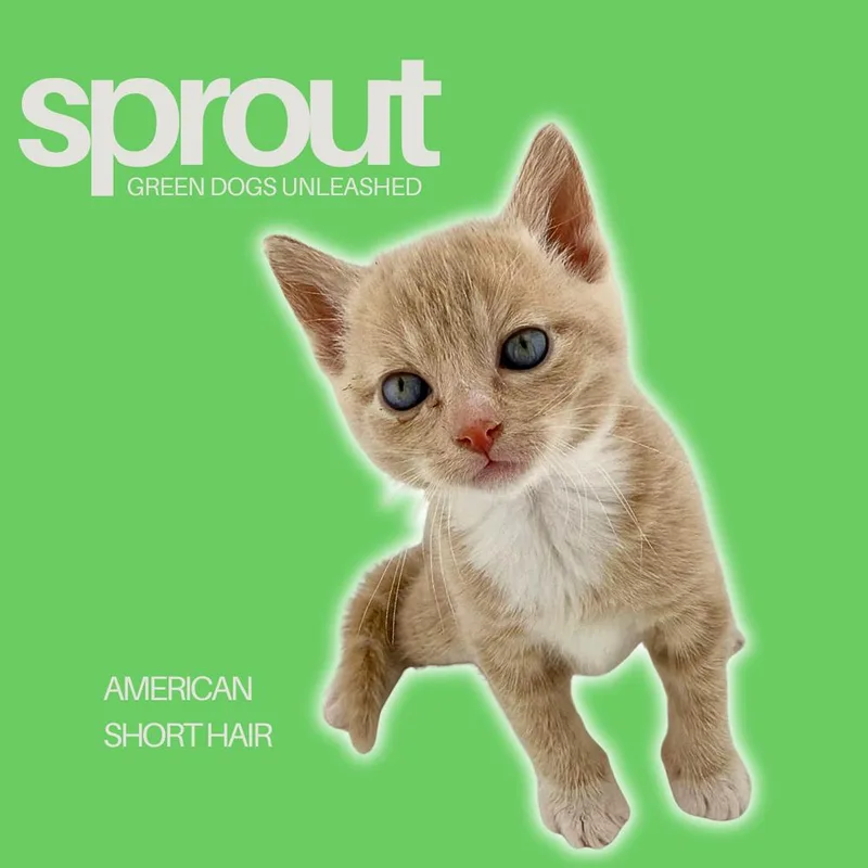 Sprout