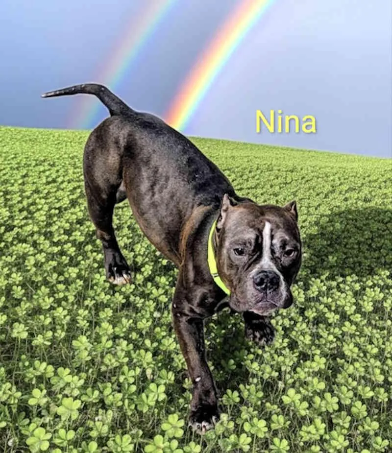 Nina