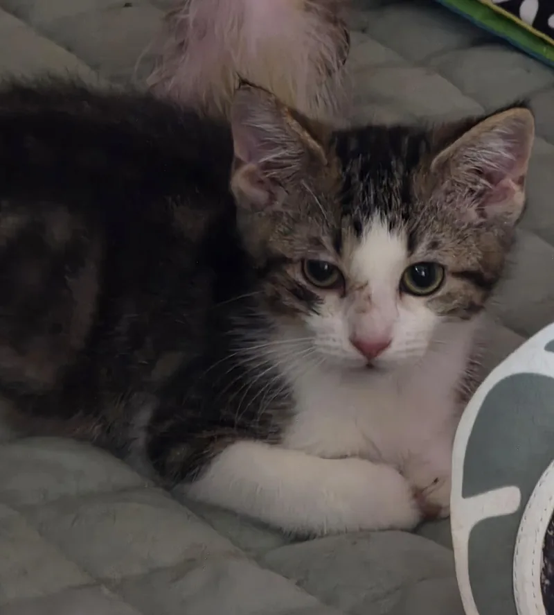 Teagan thumbnail 3