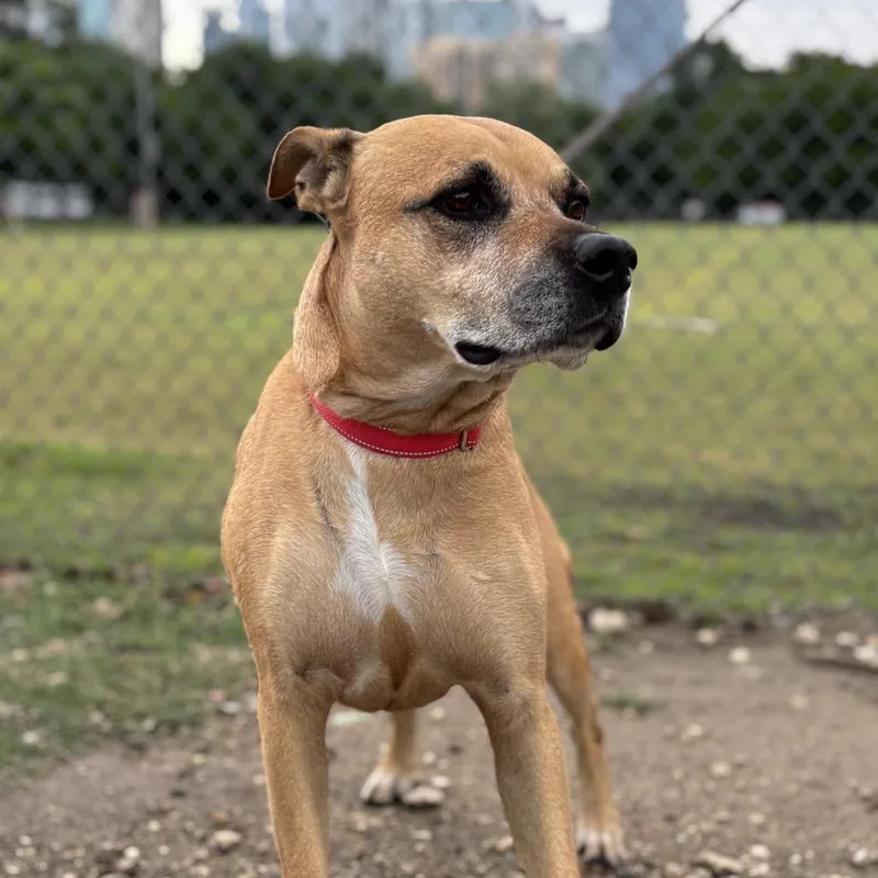 Sadie Lee thumbnail 2