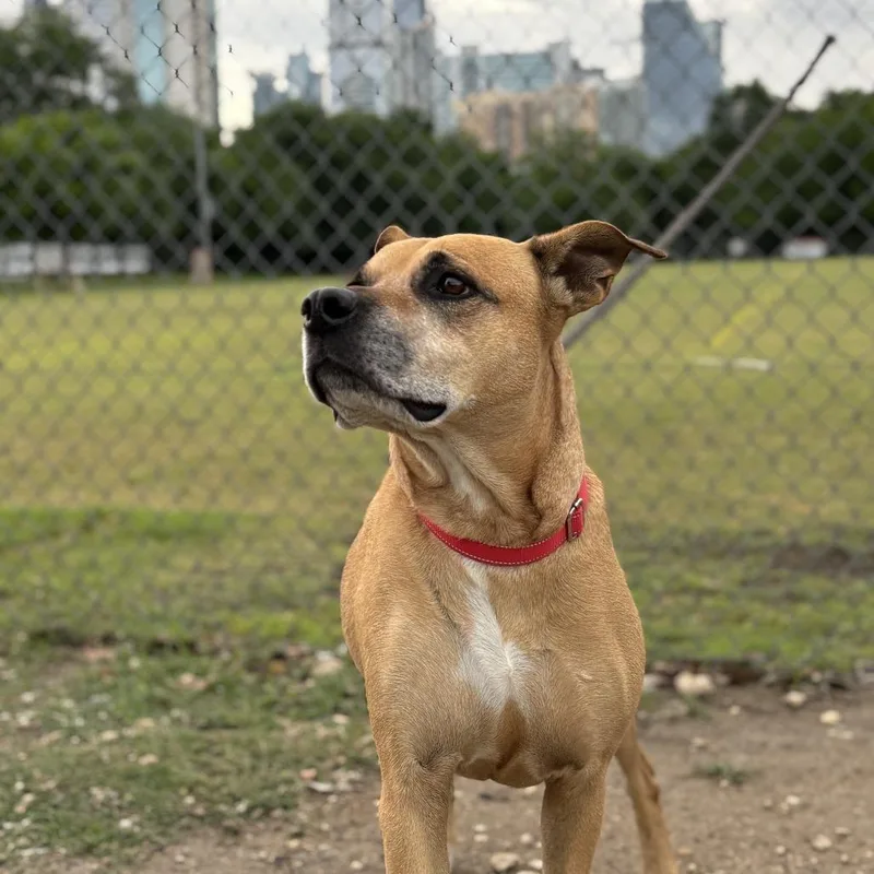 Sadie Lee thumbnail 3