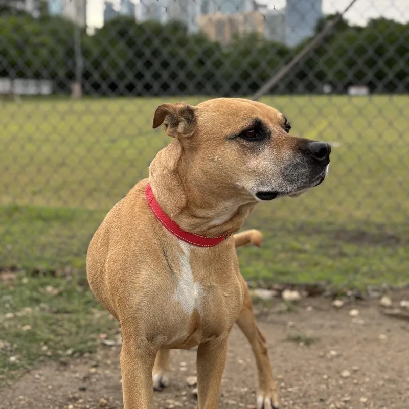 Sadie Lee thumbnail 4