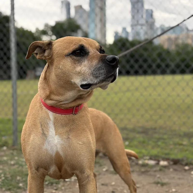 Sadie Lee thumbnail 5