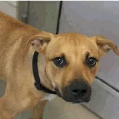 Sadie Lee thumbnail 6