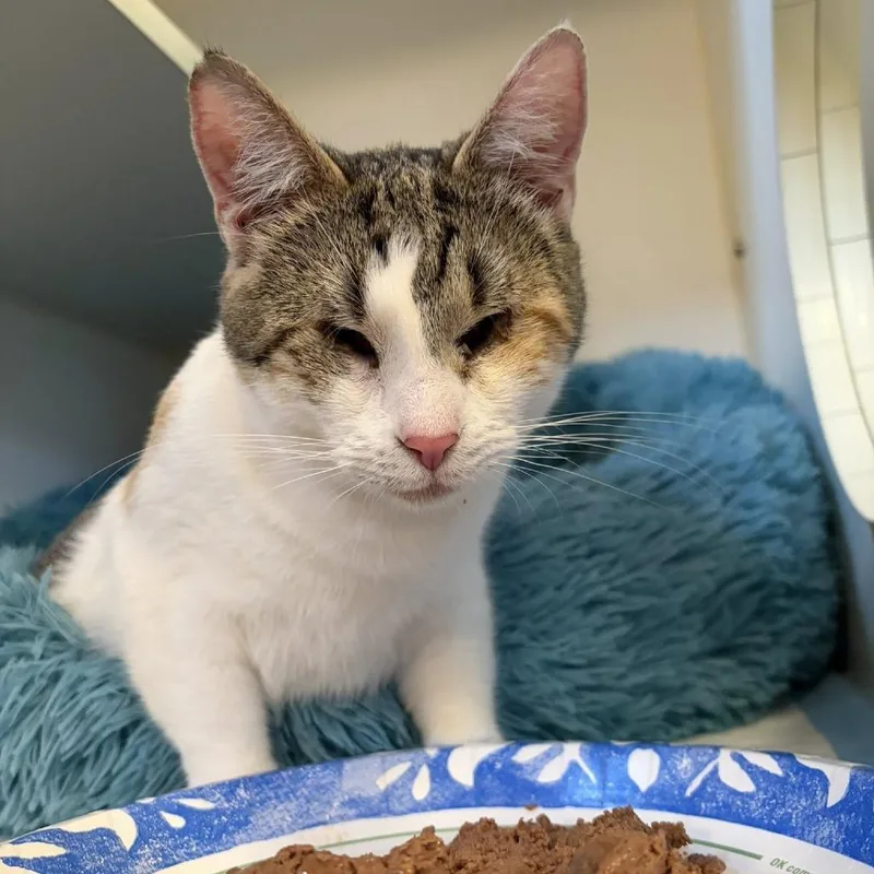 Laffy Taffy thumbnail 6