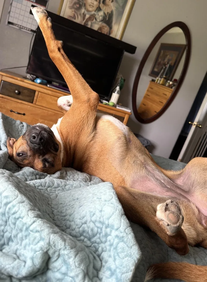 Maggie thumbnail 2