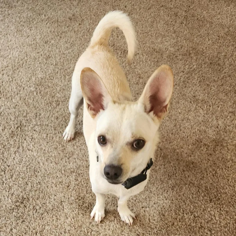 Charlie