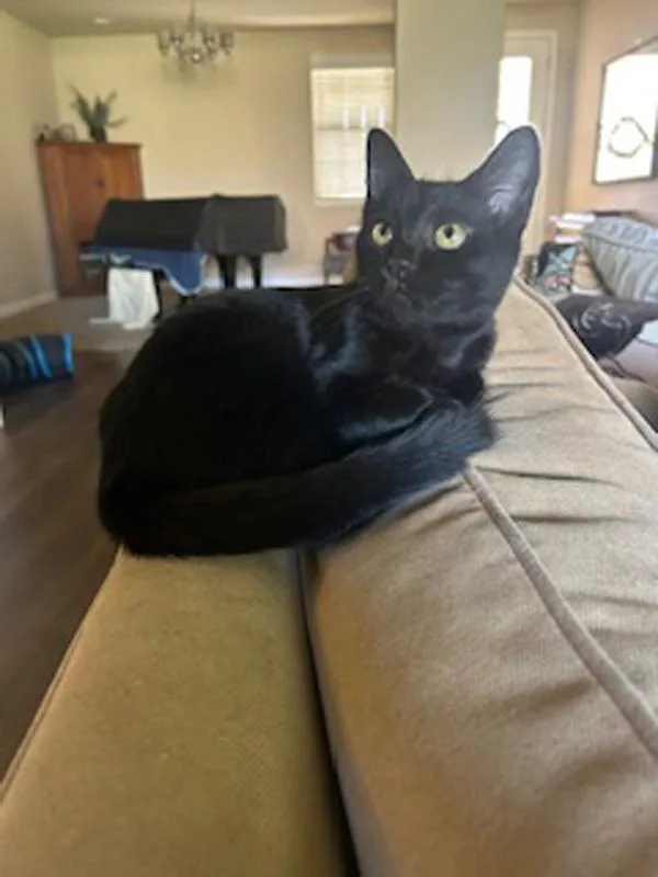 Kiss Kiss thumbnail 2