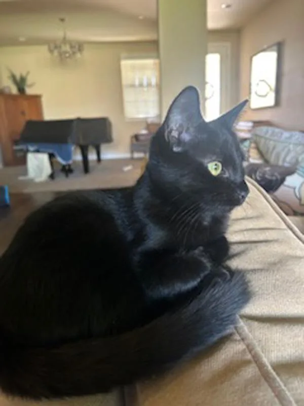 Kiss Kiss thumbnail 5