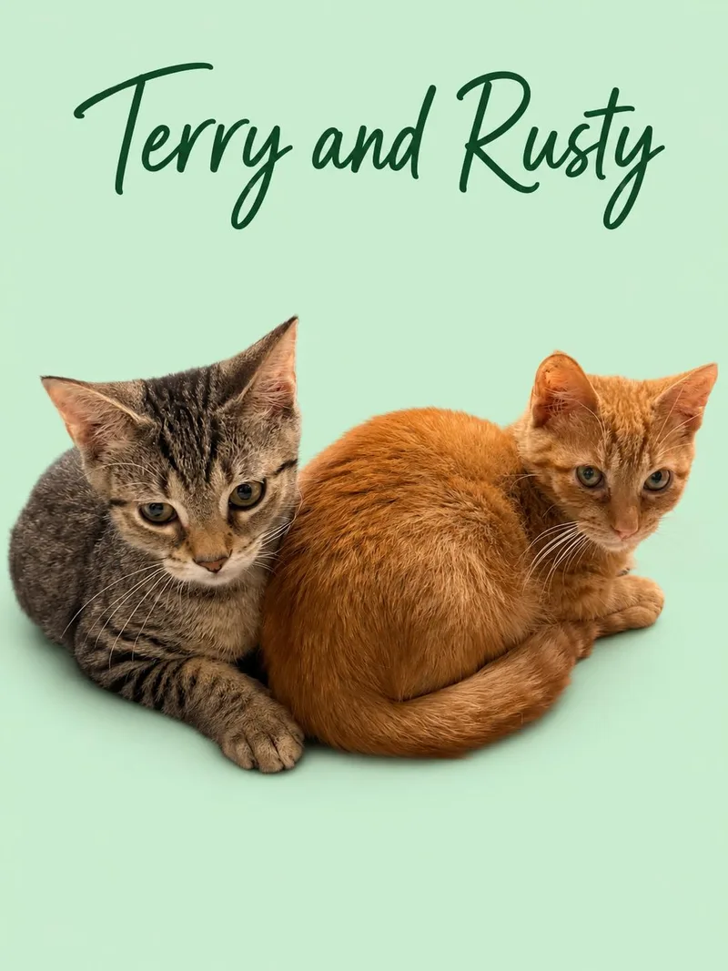 Rusty w Terry thumbnail 2