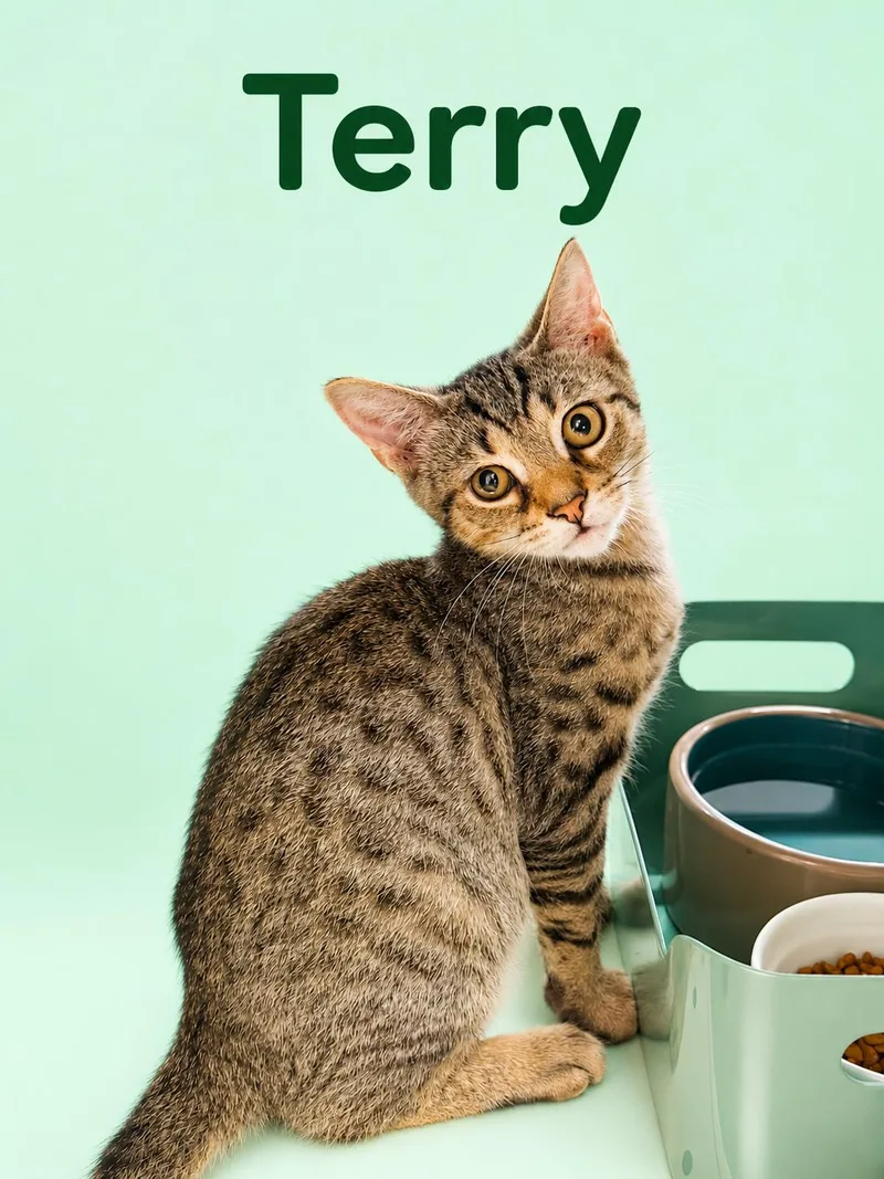 Rusty w Terry thumbnail 3