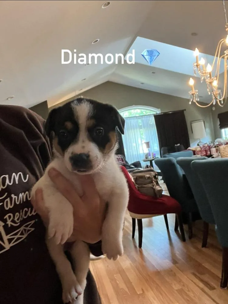 Diamond thumbnail 2
