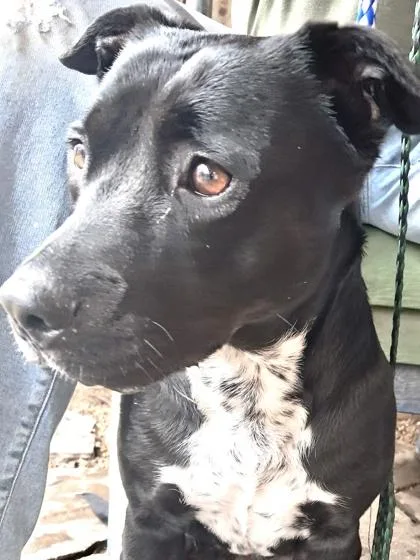 Daisy Jane