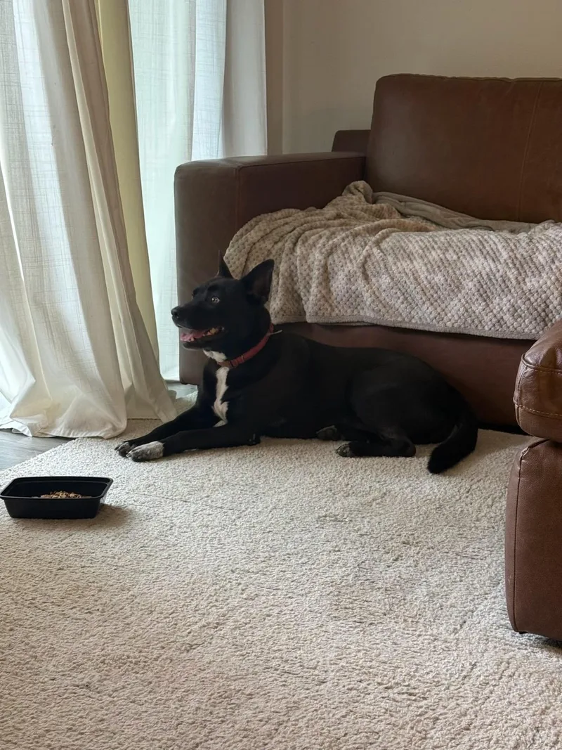 Luna Ms. Perfect thumbnail 2