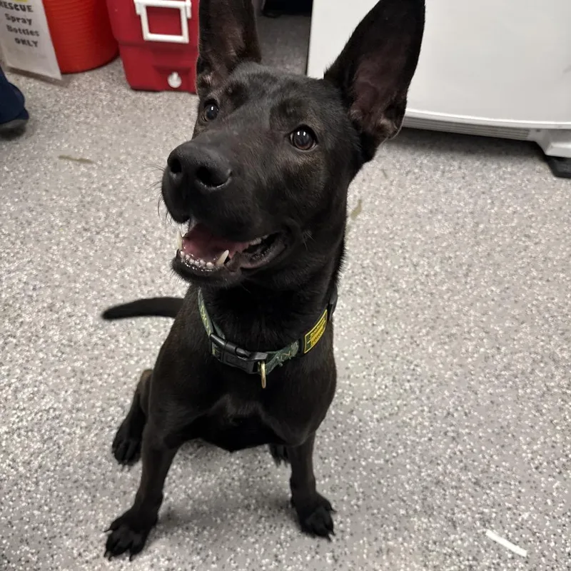 Diane Von FurStenburg thumbnail 3