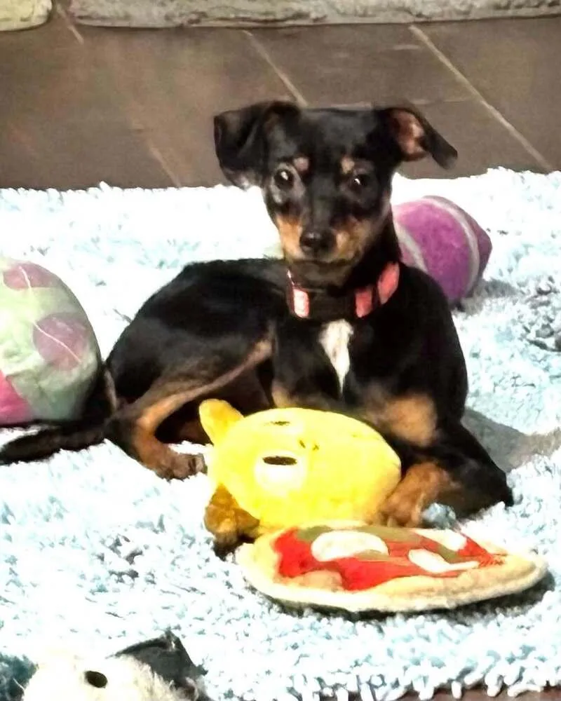 Missy thumbnail 4